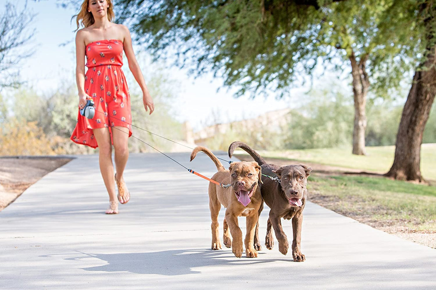 - 2025 Edition - 2 Dog Retractable Leash – Featuring Our Incredible Silicone Gel Handle - No Tangle Engineering. Each Dog 50 Lb up to 10 Ft Distance. Lock and Unlock Easily. Reflective Webbing. - MonortPaws Store
