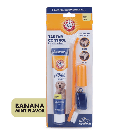 Advanced Oral Care 3 Piece Dog Dental Kit Banana Mint - MonortPaws Store