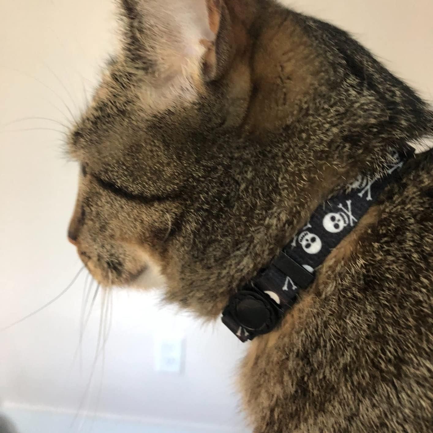 Breakaway Cat Collar with Bell Charm, 2 Packs Adjustable Kitty Collars Pink & Black Skull Pattern, 7.8 - 11.8 In - MonortPaws Store