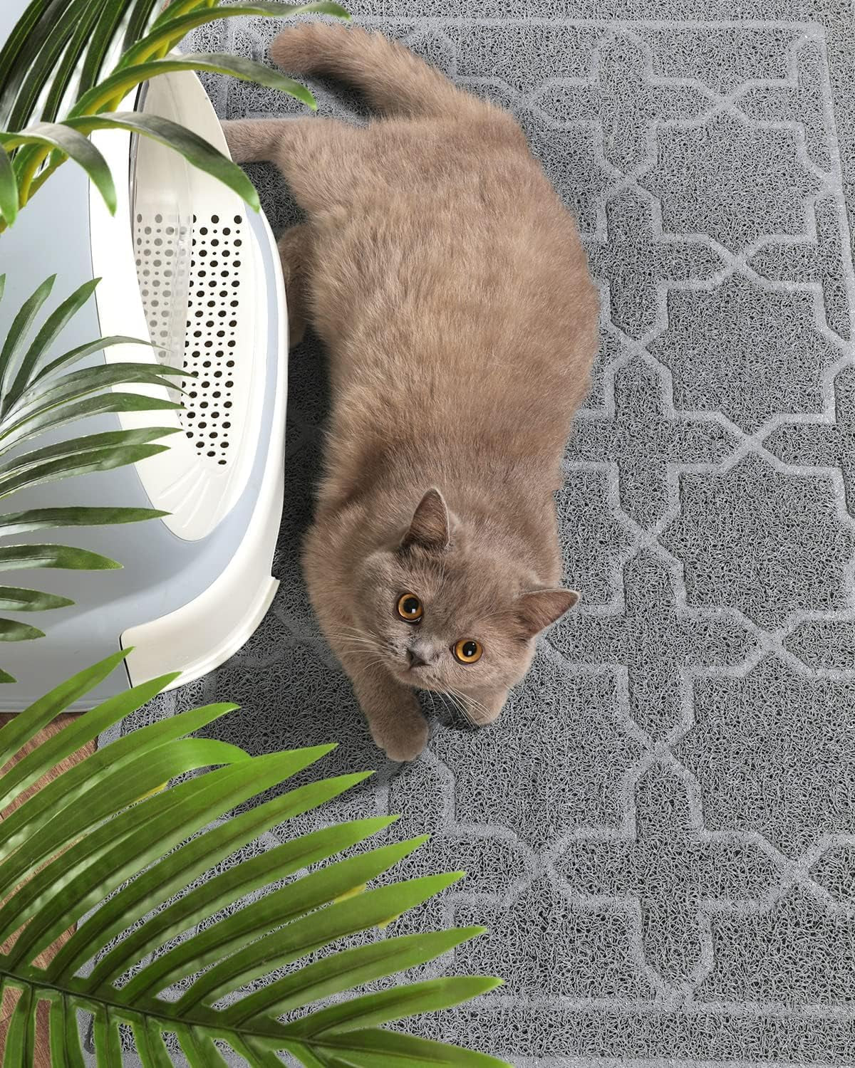 Cat Litter Mat, 35.4"X23.6" Litter Box Mat with Litter Lock Mesh, Soft Cat Litter Mat Litter Trapping Mat, Easy to Clean, Non - Slip, Water Resistant, Litter Free Floors, Dark Grey - MonortPaws Store