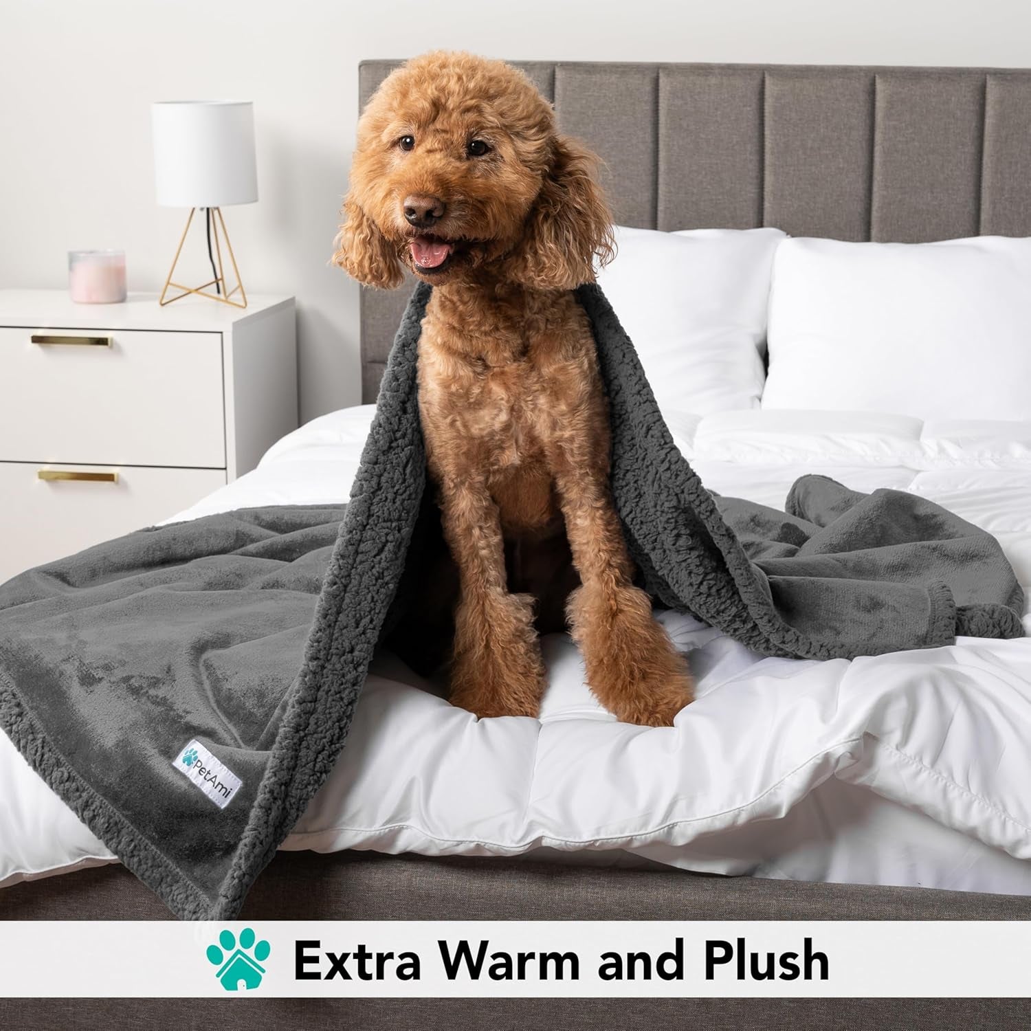 Dog Blanket for Small Medium Dogs, Pet Bed Blanket Cat Puppy Kitten, Fleece Furniture Couch Cover Protector Sofa Car, Soft Sherpa Dog Throw Plush Reversible Washable, Mini 29X40 Solid Dark Gray - MonortPaws Store