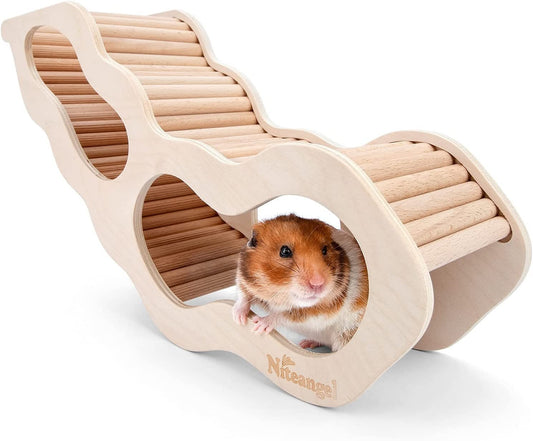 Hamster House W/Climbing Ladder for Hamsters Gerbils Mice or Similar - Sized Pets (Secret Peep Tunnel Hamster Hut) - MonortPaws Store