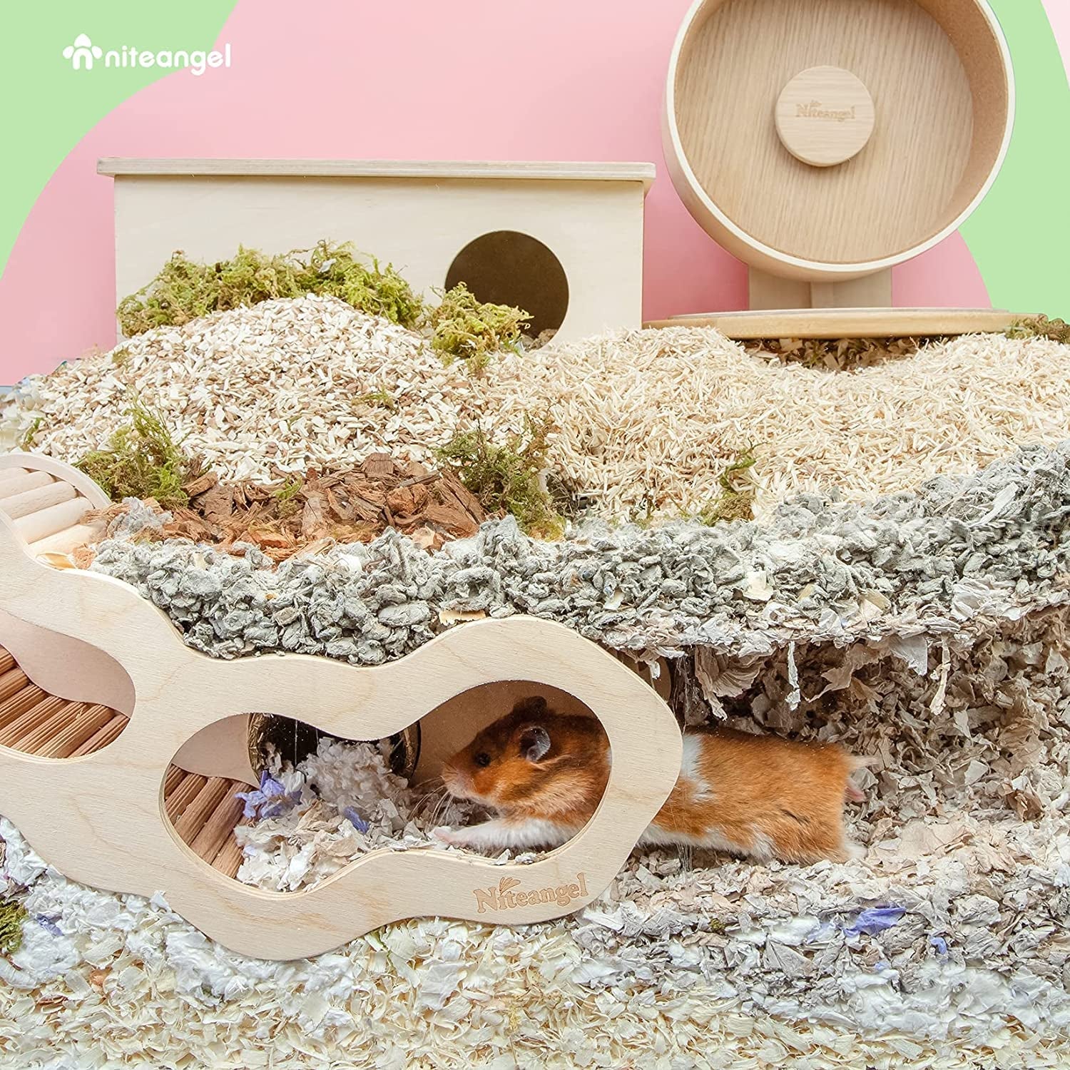 Hamster House W/Climbing Ladder for Hamsters Gerbils Mice or Similar - Sized Pets (Secret Peep Tunnel Hamster Hut) - MonortPaws Store