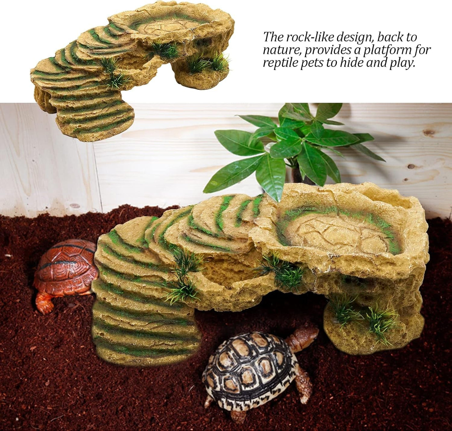 Resin Turtle Basking Platform & Reptile Hideout – Natural Rock Habitat for Turtles, Lizards, Frogs & Amphibians - MonortPaws Store