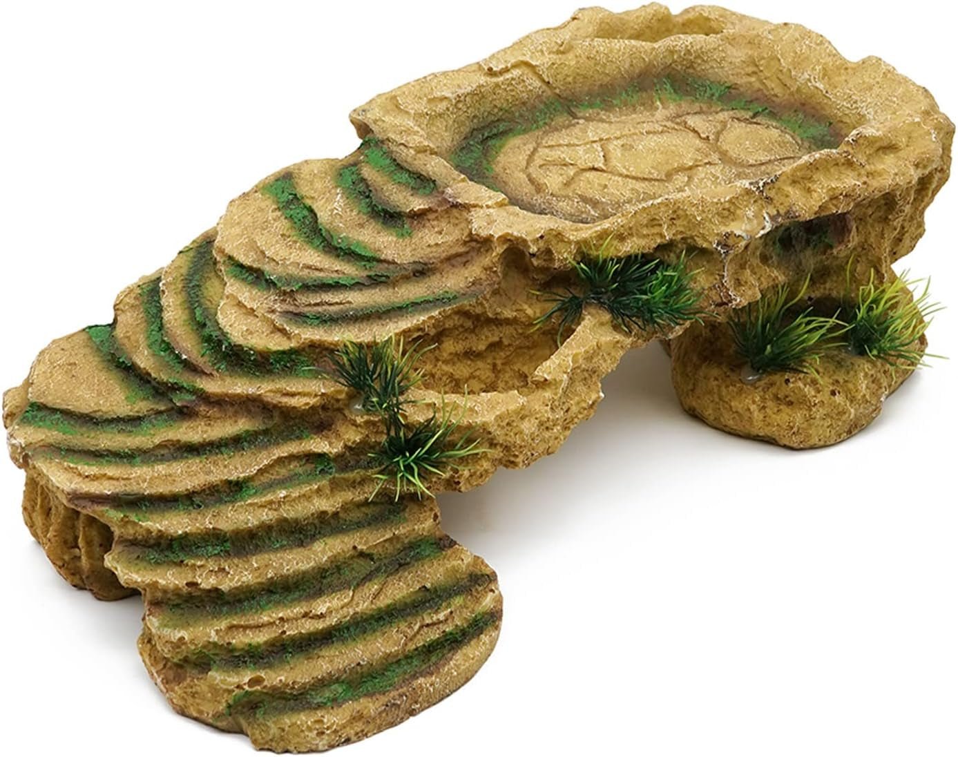 Resin Turtle Basking Platform & Reptile Hideout – Natural Rock Habitat for Turtles, Lizards, Frogs & Amphibians - MonortPaws Store