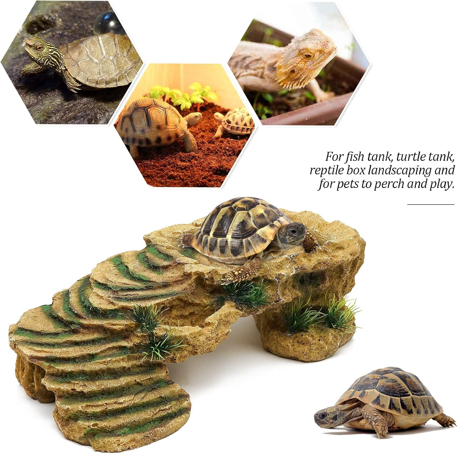 Resin Turtle Basking Platform & Reptile Hideout – Natural Rock Habitat for Turtles, Lizards, Frogs & Amphibians - MonortPaws Store