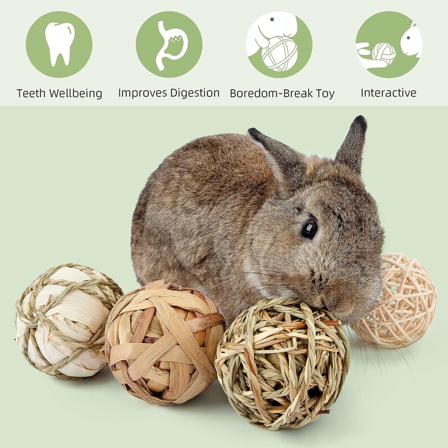 Small Animals Play & Activity Balls Rolling Chew Toys for Rabbits Guinea Pigs Chinchilla - MonortPaws Store
