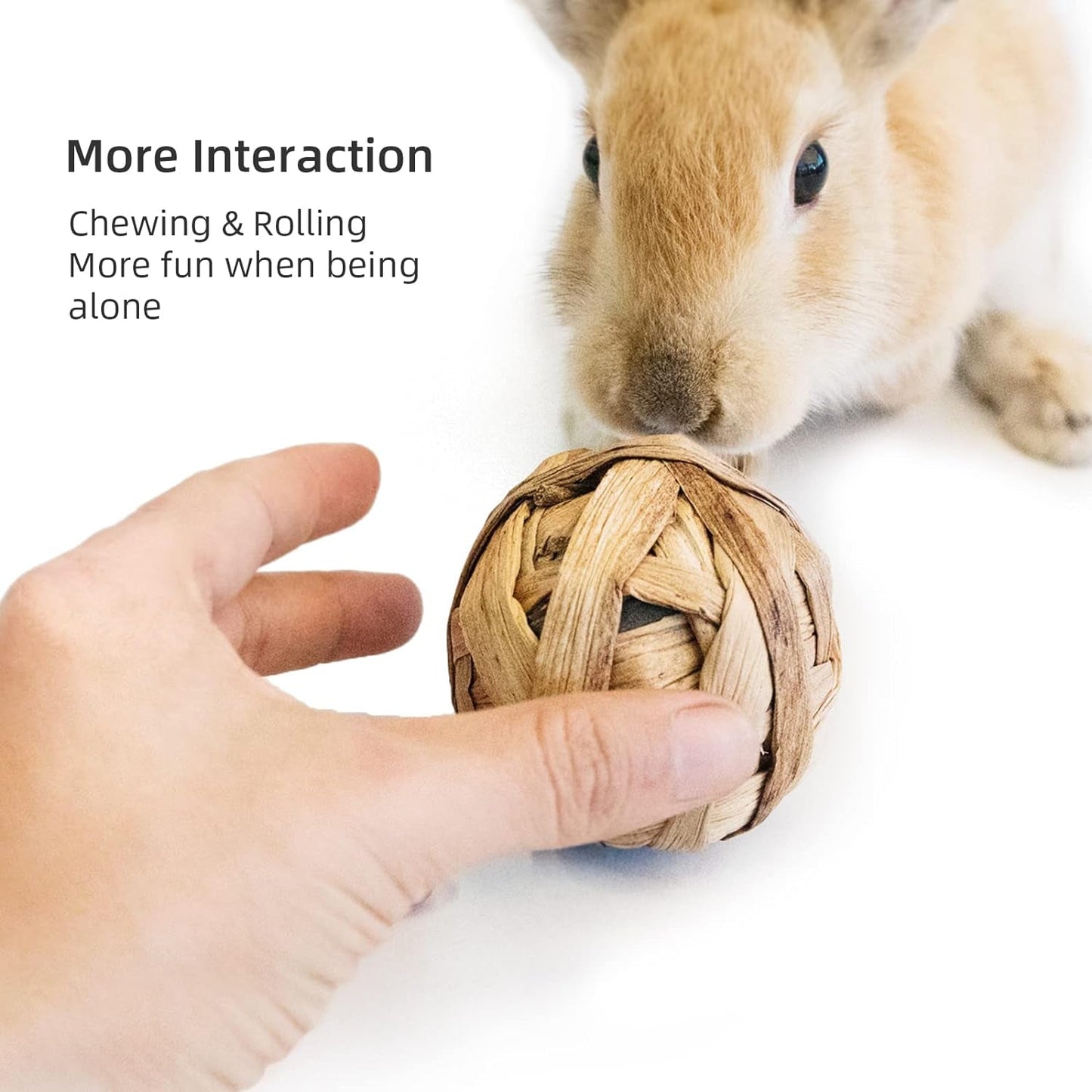 Small Animals Play & Activity Balls Rolling Chew Toys for Rabbits Guinea Pigs Chinchilla - MonortPaws Store