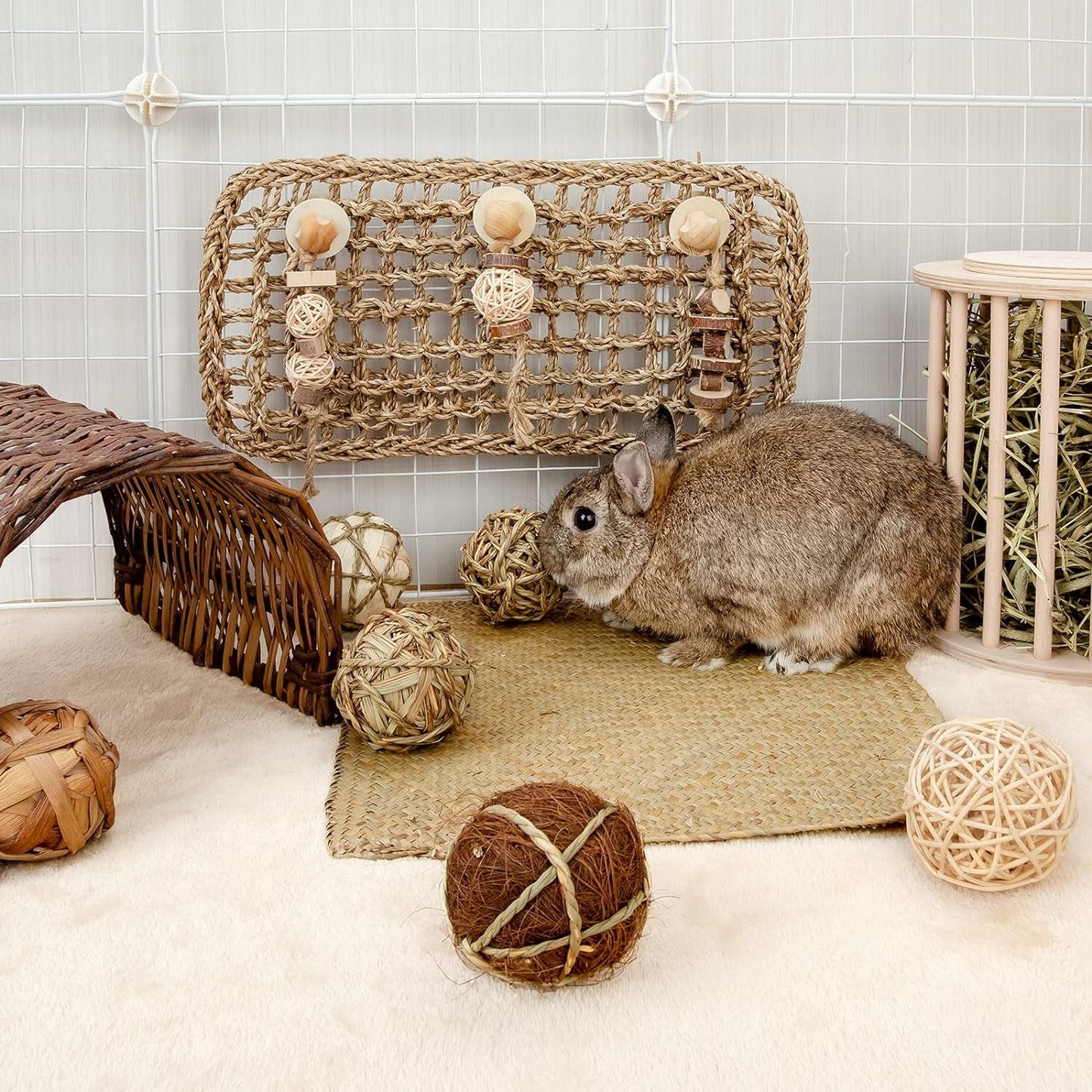 Small Animals Play & Activity Balls Rolling Chew Toys for Rabbits Guinea Pigs Chinchilla - MonortPaws Store