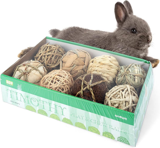 Small Animals Play & Activity Balls Rolling Chew Toys for Rabbits Guinea Pigs Chinchilla - MonortPaws Store