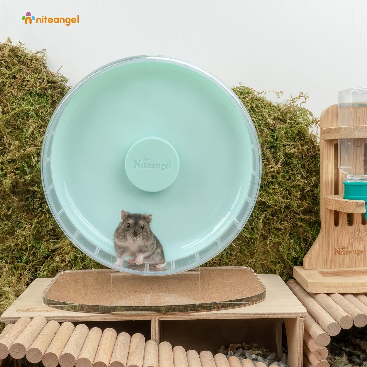 Super - Silent Hamster Exercise Wheels: - Quiet Spinner Hamster Running Wheels with Adjustable Stand for Hamsters Gerbils Mice or Other Small Animals (S, Mint Green) - MonortPaws Store