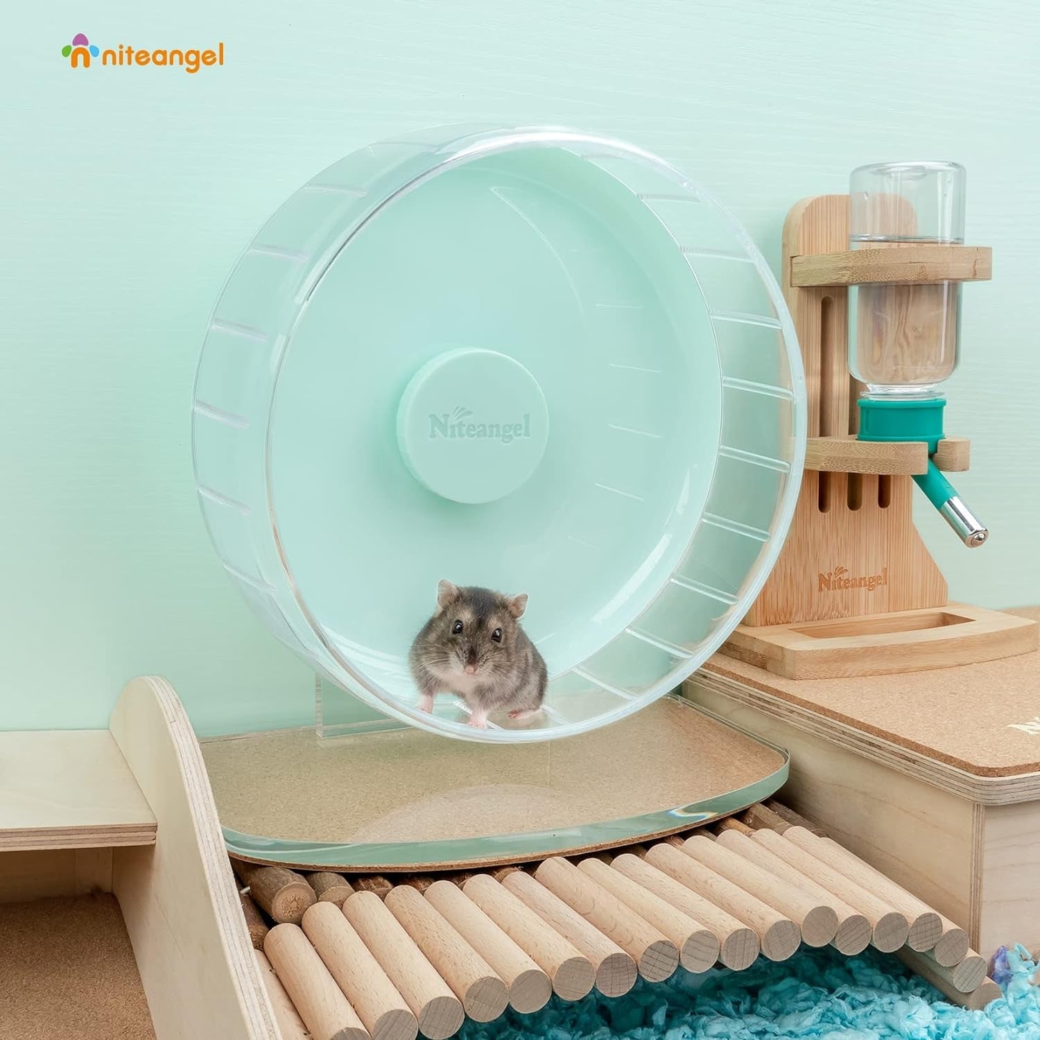 Super - Silent Hamster Exercise Wheels: - Quiet Spinner Hamster Running Wheels with Adjustable Stand for Hamsters Gerbils Mice or Other Small Animals (S, Mint Green) - MonortPaws Store