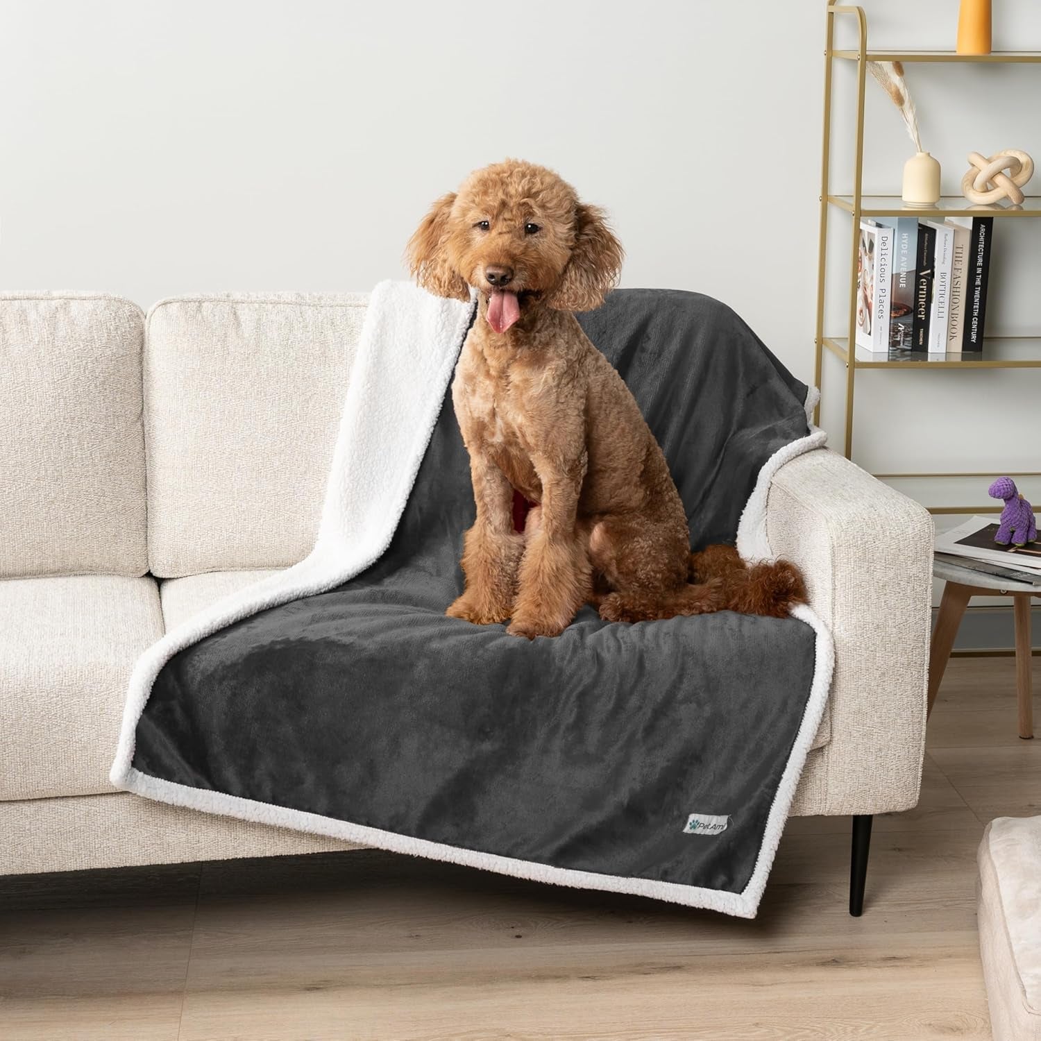 Waterproof Dog Blanket for Small Medium Dog Puppy Cat Throw for Couch Cover Leakproof Protection, Sherpa Fleece, Reversible Soft Washable 29X40 Charcoal Gray - MonortPaws Store