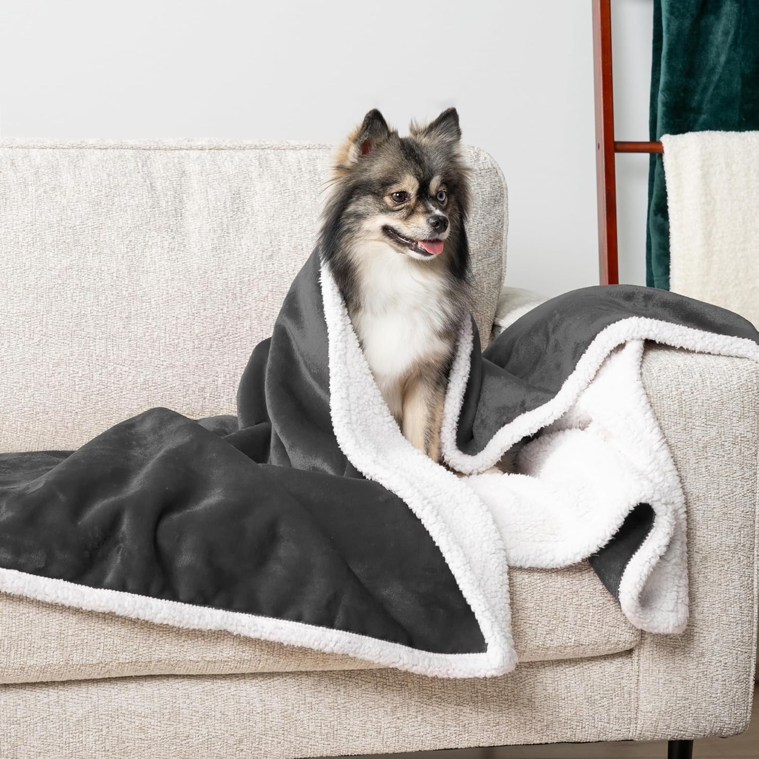 Waterproof Dog Blanket for Small Medium Dog Puppy Cat Throw for Couch Cover Leakproof Protection, Sherpa Fleece, Reversible Soft Washable 29X40 Charcoal Gray - MonortPaws Store