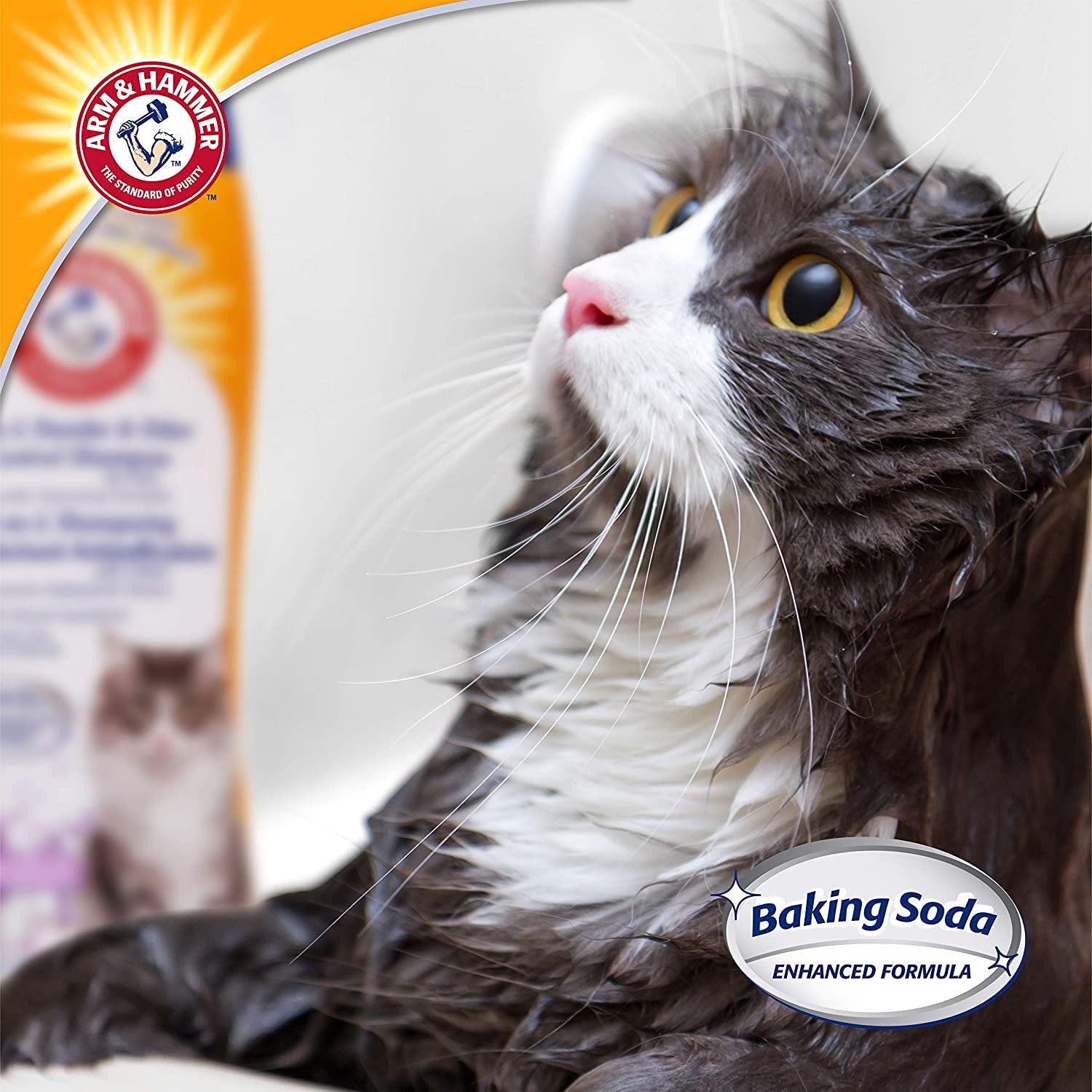 2 - In - 1 Deodorizing & Dander Reducing Shampoo for Cats, Dander Remover for Dander and Odors, Baking Soda Moisturizes and Deodorizes, Lavender Chamomile Scent, 20 Fl Oz (Pack of 1) - MonortPaws Store
