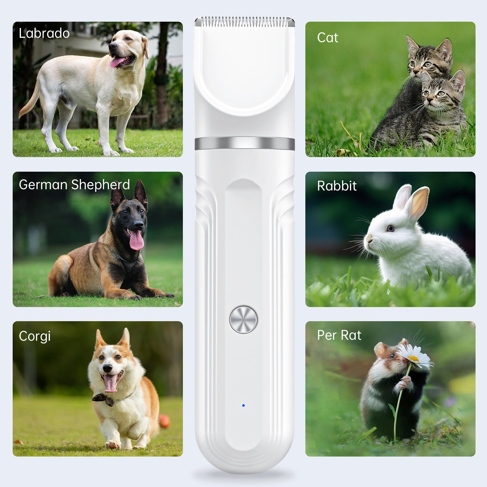 4 in 1 Dog Clippers, Low Noise Pets Hair Clipper Grooming Kit, Cordless Dog Paw Trimmers Rechargeable Quiet Nail Grinder Shaver for Dogs Cats Trimming Hair around Paws Eyes Ears Face Rump - MonortPaws Store