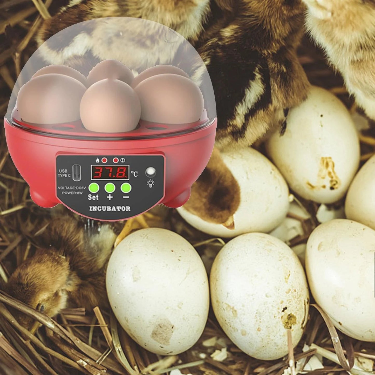 Automatic Digital Poultry Ing Machine, Automatic Egg Turner Temperature Control Small 6 Egg Incubator for Chicken Ducks Quail Red - MonortPaws Store