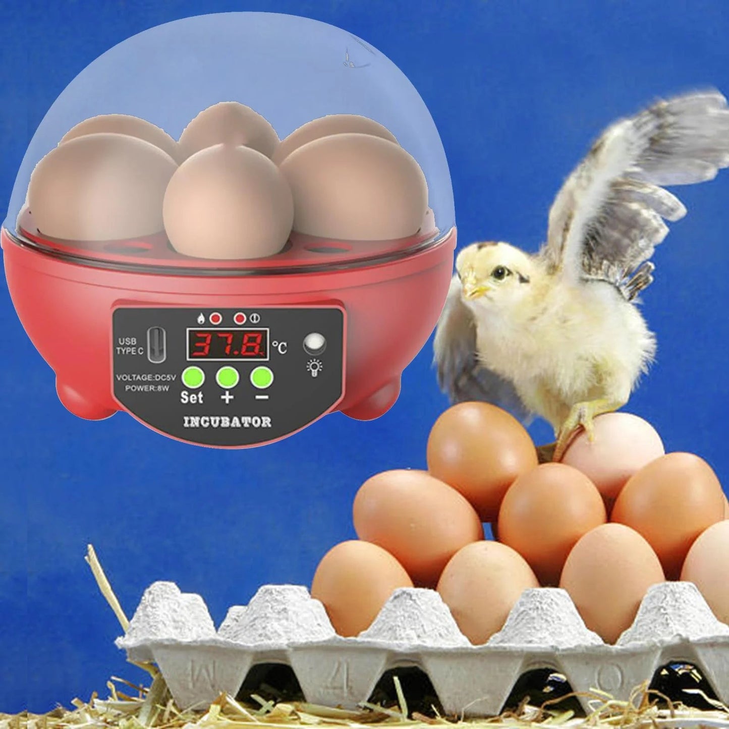Automatic Digital Poultry Ing Machine, Automatic Egg Turner Temperature Control Small 6 Egg Incubator for Chicken Ducks Quail Red - MonortPaws Store