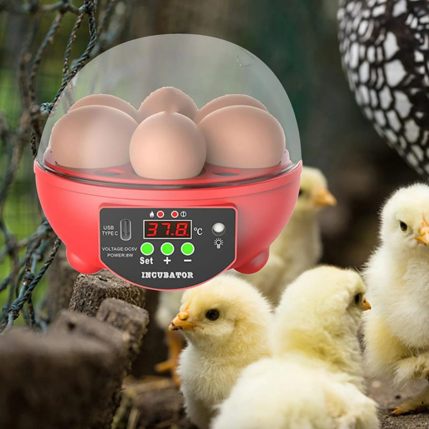 Automatic Digital Poultry Ing Machine, Automatic Egg Turner Temperature Control Small 6 Egg Incubator for Chicken Ducks Quail Red - MonortPaws Store
