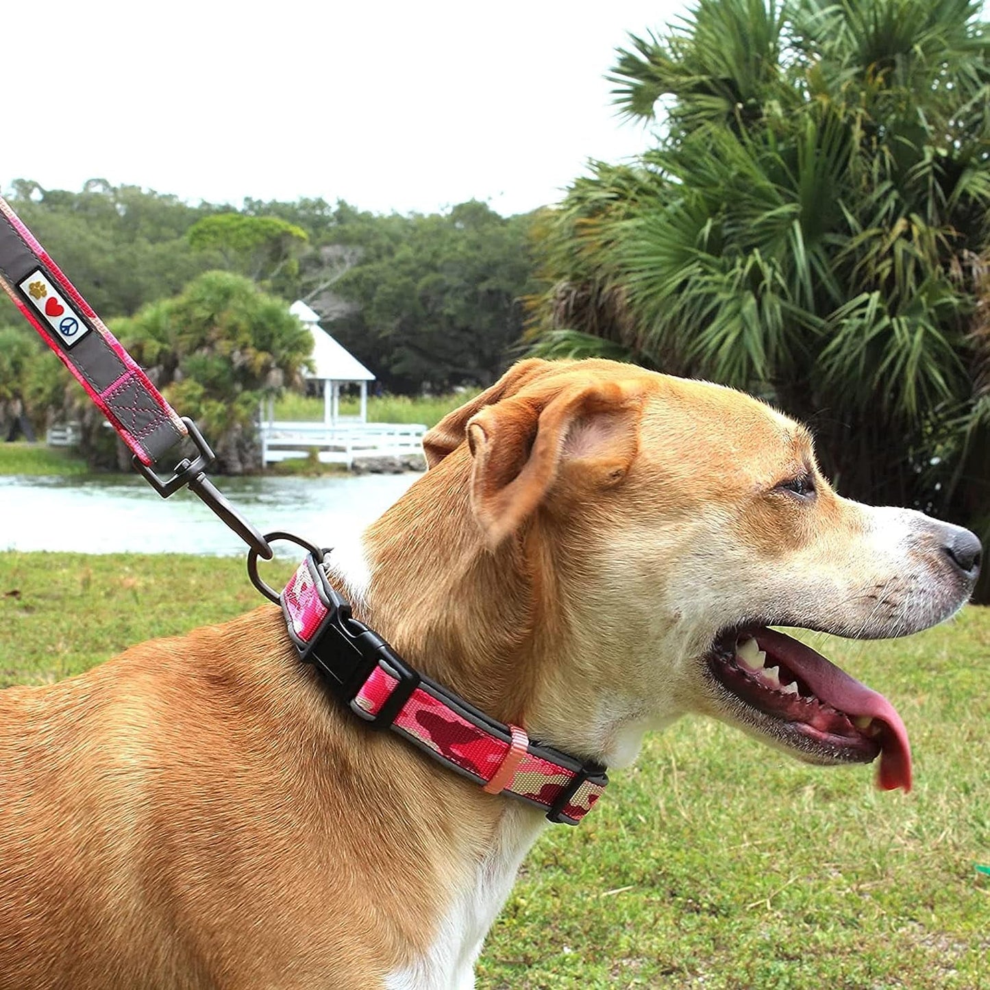 Soft Adjustable Reflective Padded Pet Dog Collar Camouflage Pink Camo Medium / Large 3/4 Inch - MonortPaws Store
