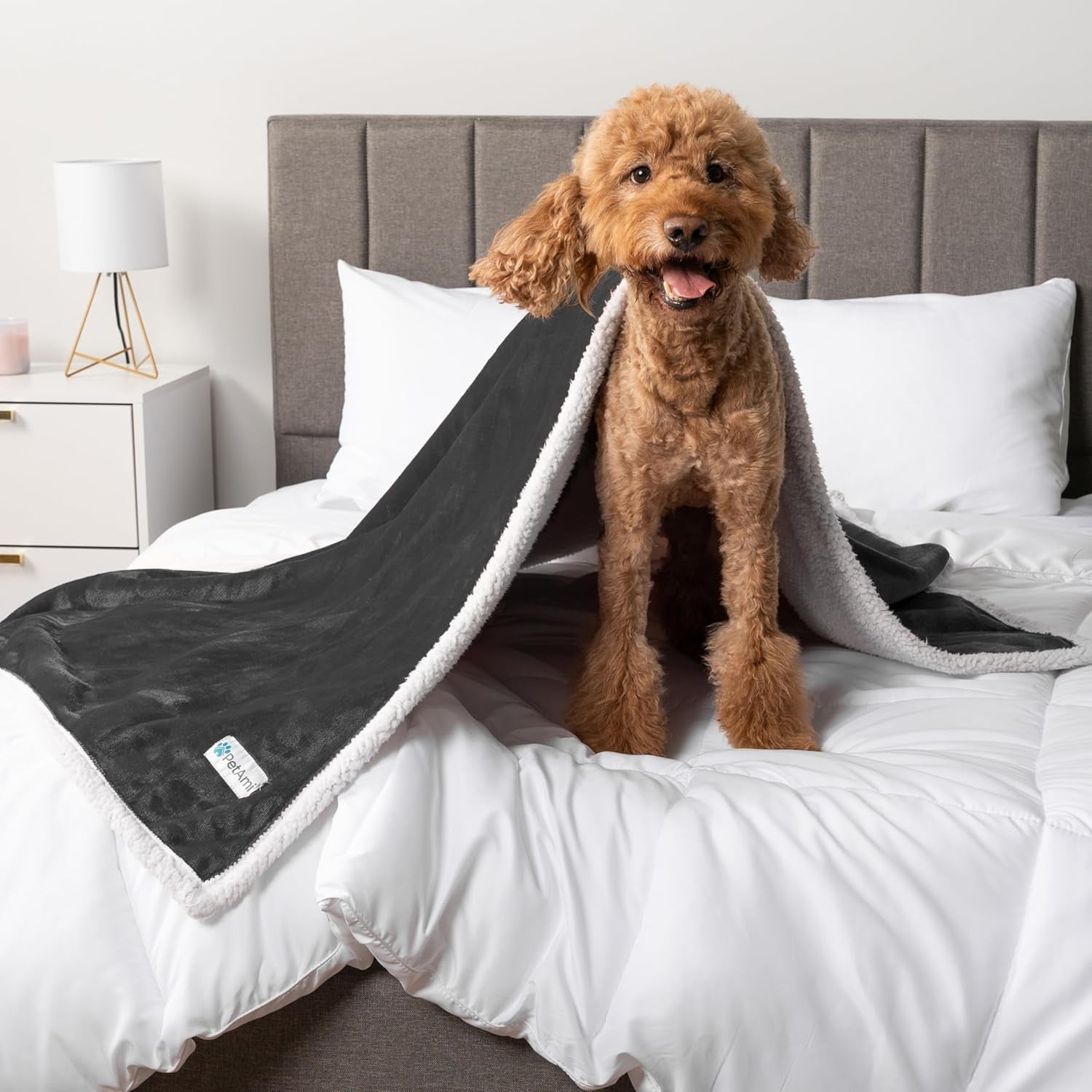 Waterproof Dog Blanket for Small Medium Dog Puppy Cat Throw for Couch Cover Leakproof Protection, Sherpa Fleece, Reversible Soft Washable 29X40 Charcoal Gray - MonortPaws Store